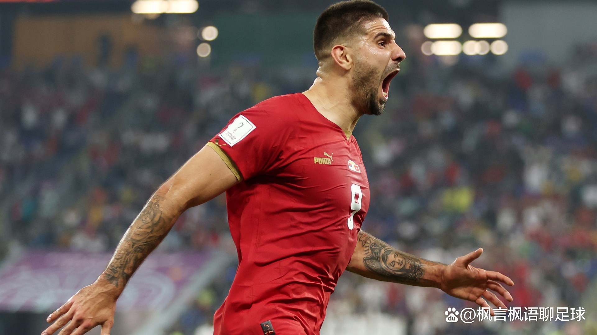 塞尔维亚对阵卢森堡,欧锦赛资格之争 塞尔维亚对阵卢森堡,欧锦赛资格之争