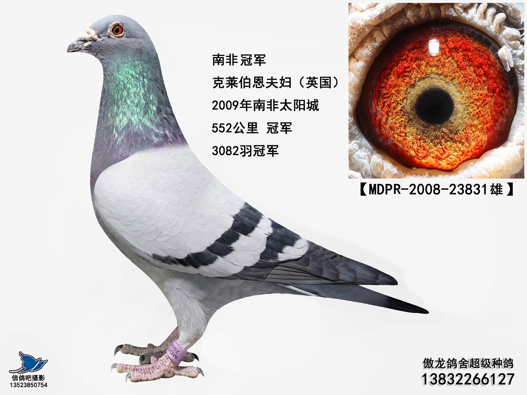 爱游戏-南非足坛传来喜讯！冠军荣光垂直世人的简单介绍