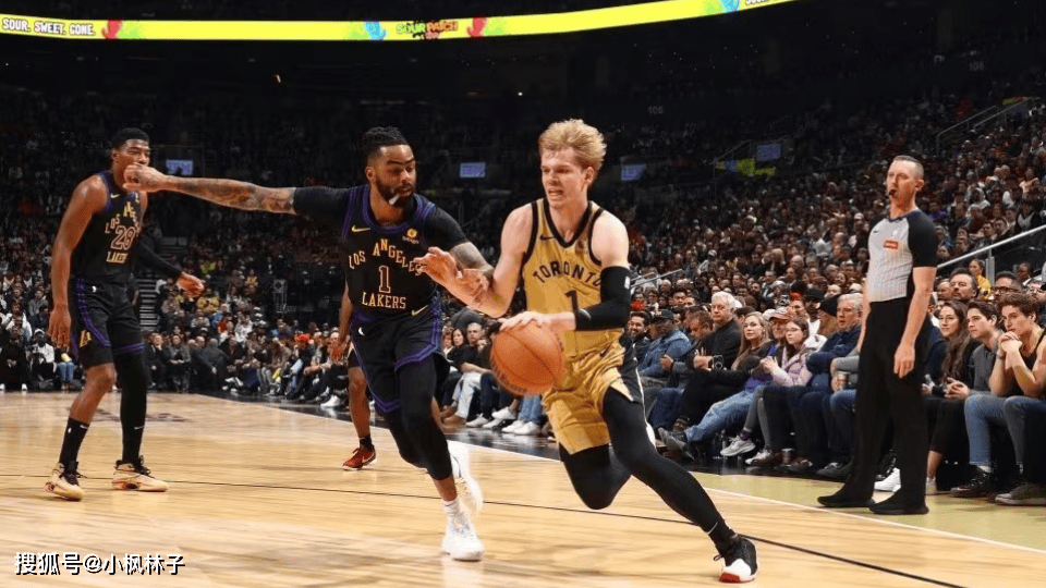 猛龙队客场大胜对手,实力得到验证的简单介绍 猛龙队客场大胜对手,实力得到验证的简单介绍