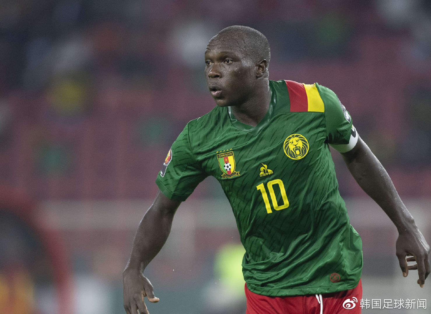 包含非洲篮球职业联赛冠军争夺激烈，球员技术精湛的词条