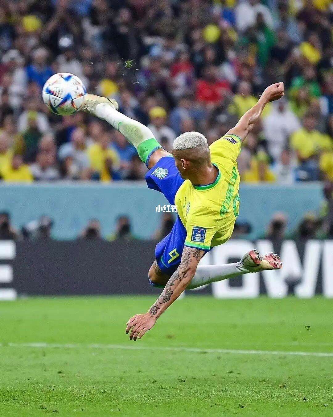 包含尤文图斯前锋倒勾进球获得全场欢呼的词条 包含尤文图斯前锋倒勾进球获得全场欢呼的词条