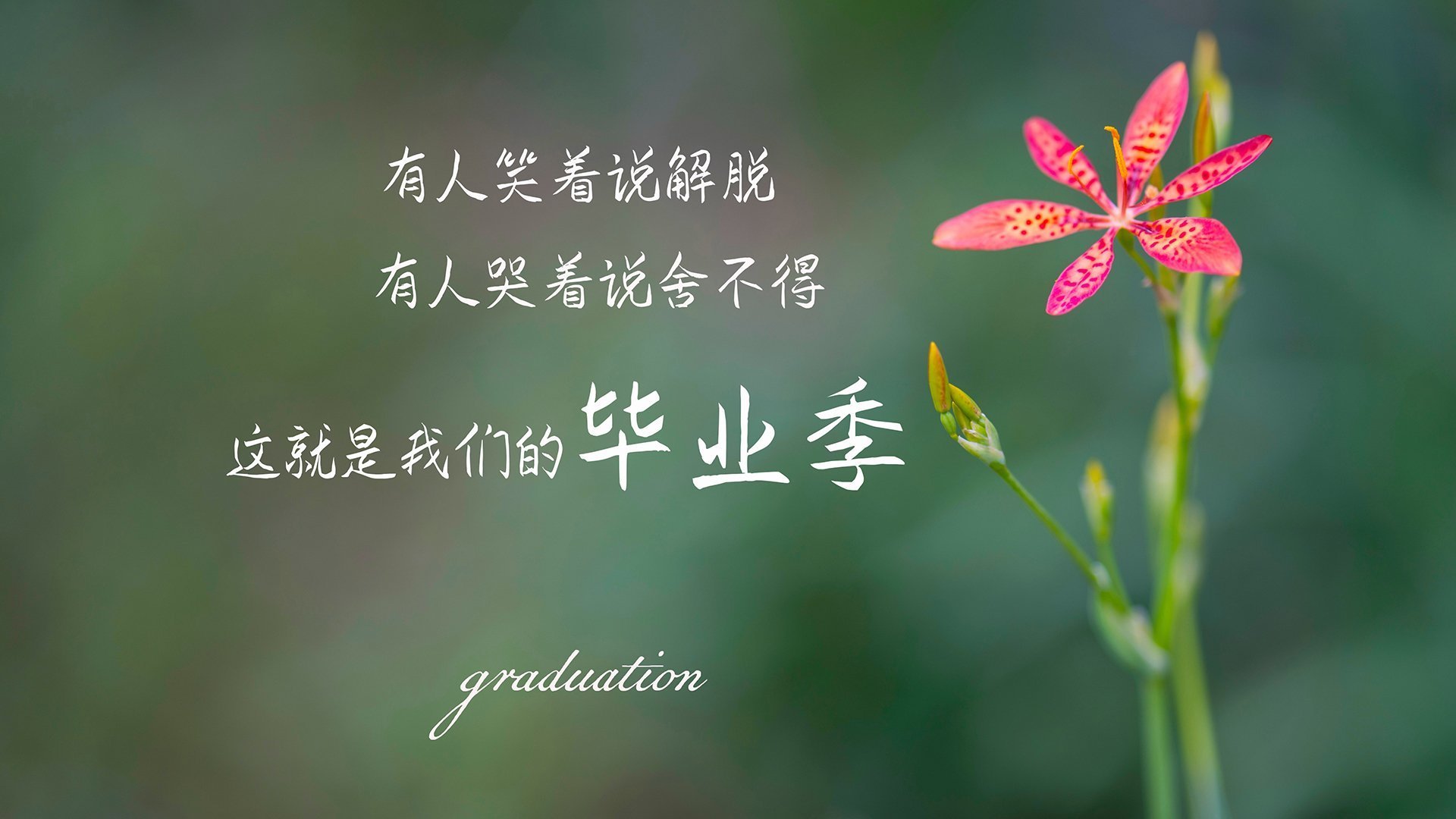 爱游戏APP-毕尔巴鄂铁骑烈焰焚敌酋，天使之翼划破喀麦隆长夜