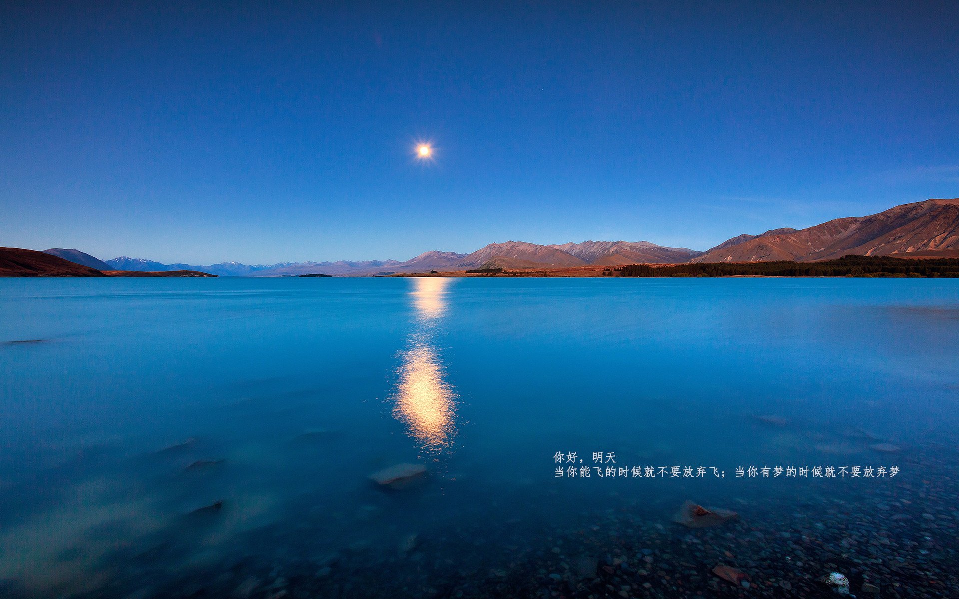 爱游戏入口-实力为证，久保建英的闪耀与奥地利足球的震撼之夜