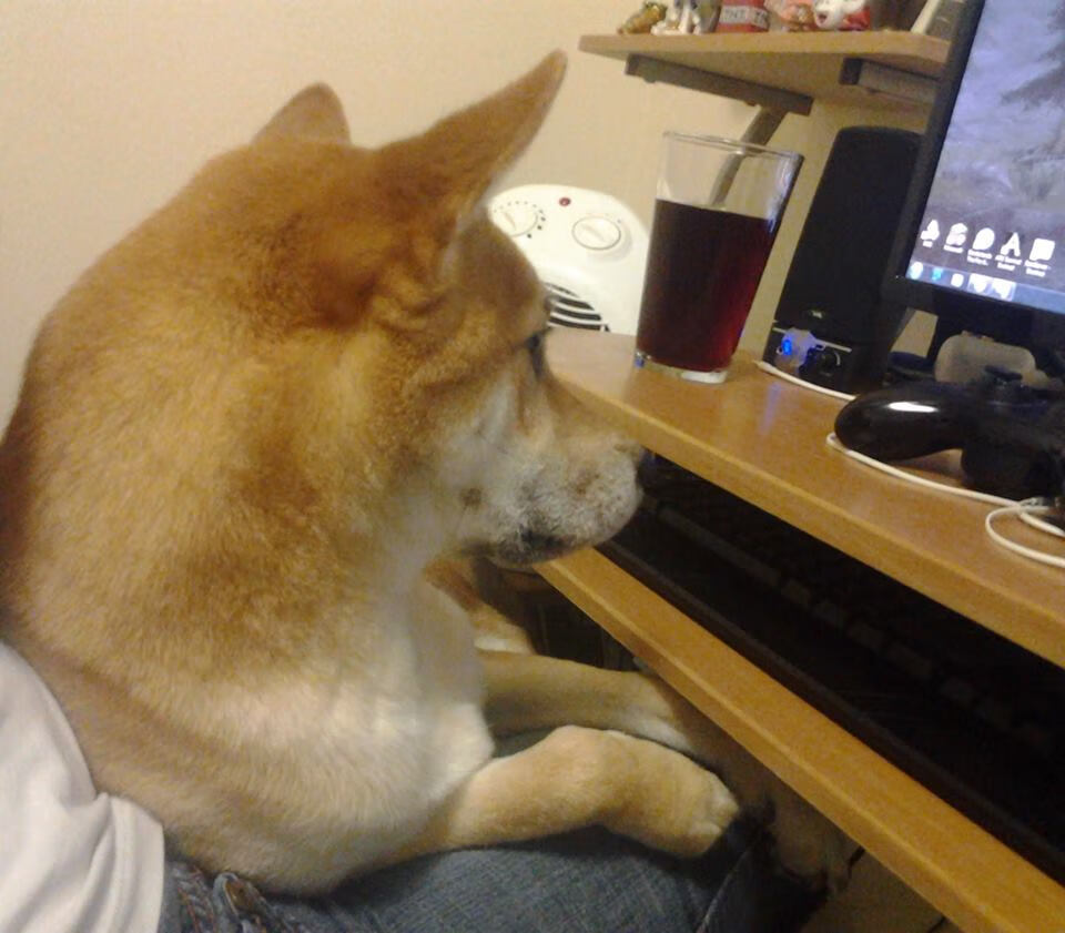 北欧德比引爆排名争夺战，芬兰强势晋级，冰岛黯然出局