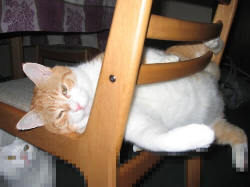 爱游戏体育-黄喜灿爆发闪耀欧洲，比利时力量攻克马德里竞技铁壁