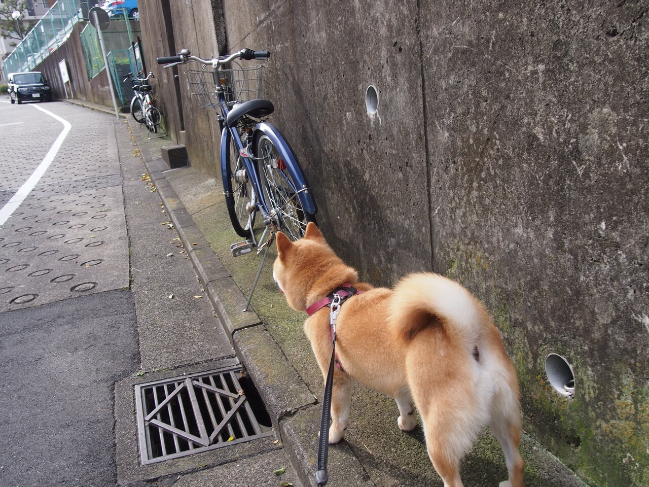 爱游戏在线-枷锁无声，抢七之夜的冰冷绞杀