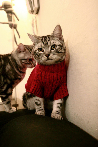 末节风暴！挪威逆转芬兰，奥亚尔萨瓦尔一锤定音